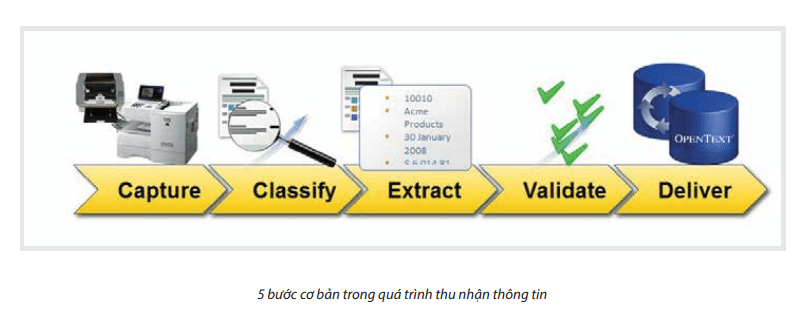 5 bước cơ bản quán trình thu nhận thông tin