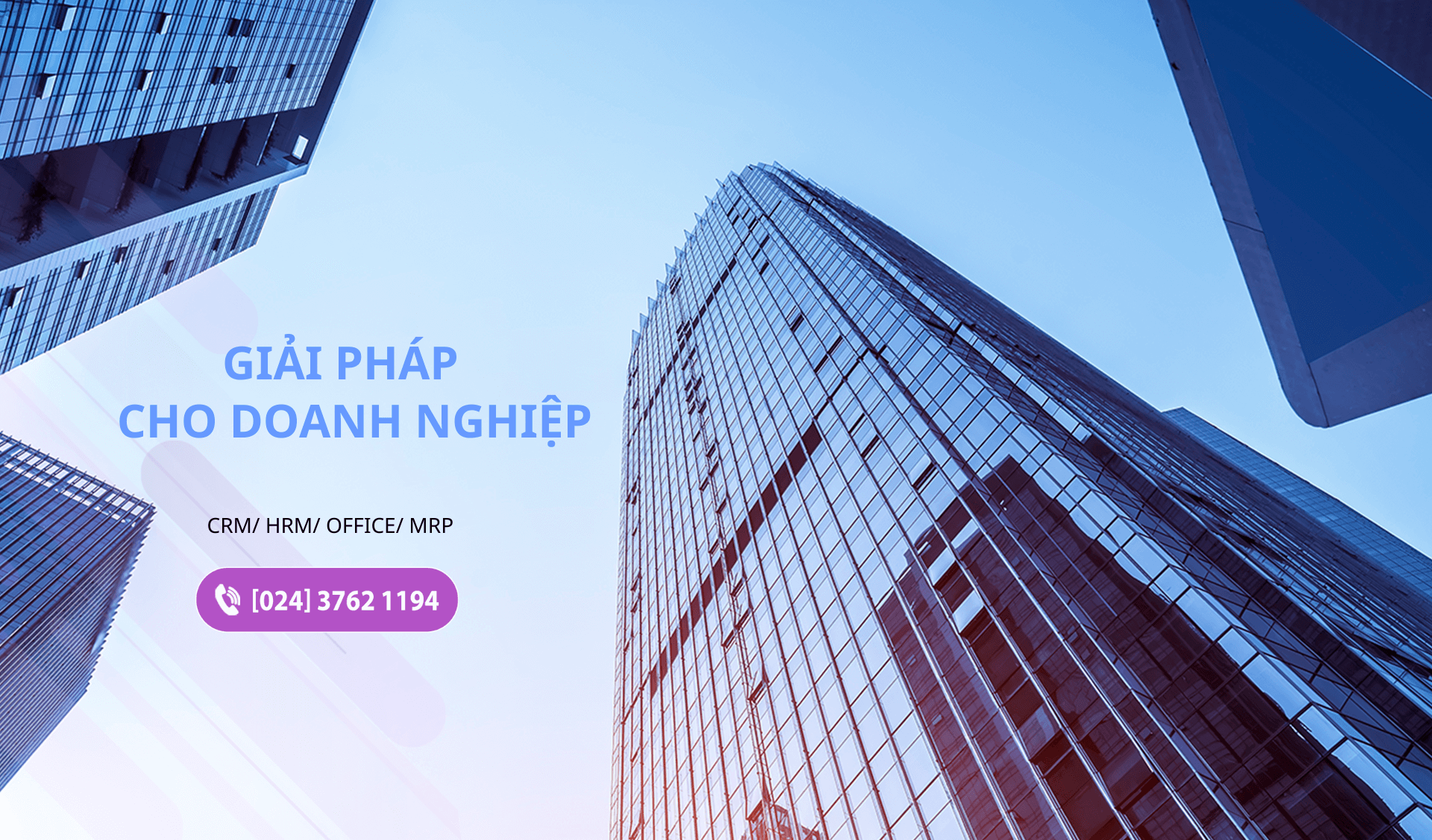 Sản phẩm LifeteX